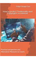 How to protect Trademarks and Copyrights on Internet.: Practical perspective and Alternative Measures to Courts.(1 Intellectual Property)
