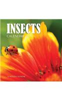 Insects Calendar 2020