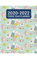 2020-2022 Three Year Planner