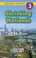 Shrinking Wetlands