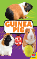 Guinea Pig