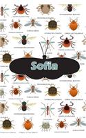 Sofia