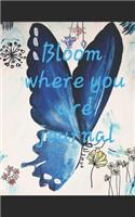 Bloom Where You Are Journal