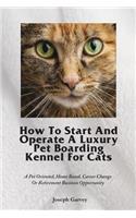 How To Start And Operate A Luxury Pet Boarding Kennel For Cats