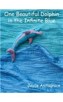 One Beautiful Dolphin in the Infinite Blue