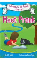 Adventures of Prank, the Cat