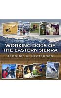 Working Dogs of the Eastern Sierra