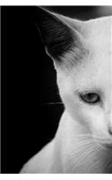 Notebook White Cat