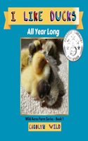 I Like Ducks: All Year Long