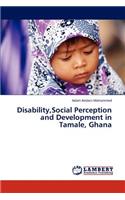 Disability, Social Perception and Development in Tamale, Ghana