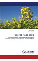 Oilseed Rape Crop