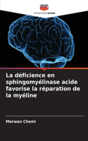 déficience en sphingomyélinase acide favorise la réparation de la myéline