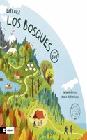 Explora los bosques en 360o