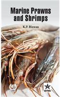 Marine Prawns and Shrimps