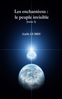 Les Enchanteens: Le Peuple Invisible (Tome 1)