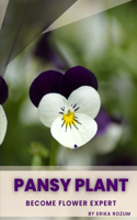 Pansy plant: Become flower expert