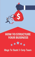 How To Structure Your Business: Ways To Slash S-Corp Taxes: S Corporation Accounting