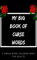 My Big Book Of Curse Words