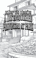 Distinguished Provincial at Paris