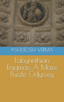 Labyrinthian Enigmas: A Maze Puzzle Odyssey