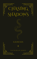 Chasing Shadows