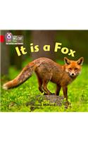 It is a Fox