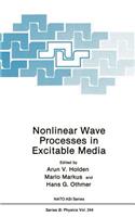 Nonlinear Wave Processes in Excitable Media