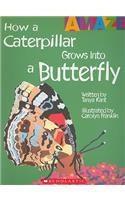 How a Caterpillar Grows Into a Butterfly