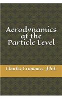 Aerodynamics at the Particle Level: A close look at some of the effects of particle flow without the fluid approximation