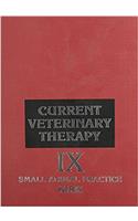 Current Veterinary Therapy (KIRK/VETERINARY THERAPY)