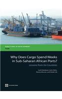 Why Does Cargo Spend Weeks in Sub-Saharan African Ports?