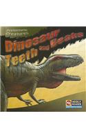 Dinosaur Teeth and Beaks