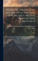 Report of Explorations and Surveys in Portions of York and Carleton Counties, New Brunswick