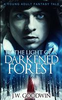 By The Light Of A Darkened Forest