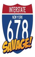 Interstate New York 678 Savage