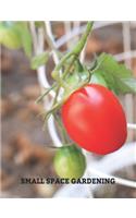 Small Space Gardening