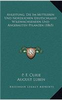 Anleitung, Die Im Mittleren Und Nordlichen Deutschland Wildwachsenden Und Angebauten Pflanzen (1865)