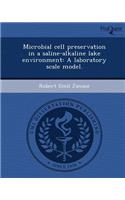 Microbial Cell Preservation in a Saline-Alkaline Lake Environment: A Laboratory Scale Model