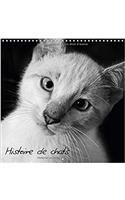 Histoire de Chats 2017