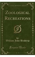 Zoological Recreations (Classic Reprint)