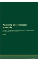 Reversing Encephalocele Naturally the Raw Vegan Plant-Based Detoxification & Regeneration Workbook for Healing Patients. Volume 2