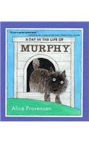 A Day In the Life Of Murphy