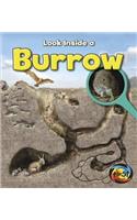 Burrow