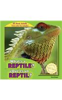 What's a Reptile? / ¿Qué Es Un Reptil?