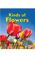 Kinds of Flowers