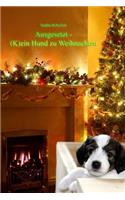 Ausgesetzt - (K)ein Hund zu Weihnachten: (German)