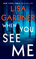 When You See Me: A Novel(12 Detective D. D. Warren)