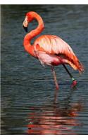 Red Flamingo Journal