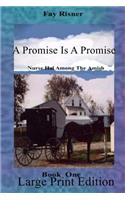 A Promise Is A Promise