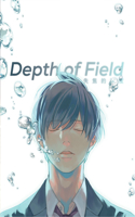 Depth of Field Vol. 1: (DEPTH OF FIELD GN)